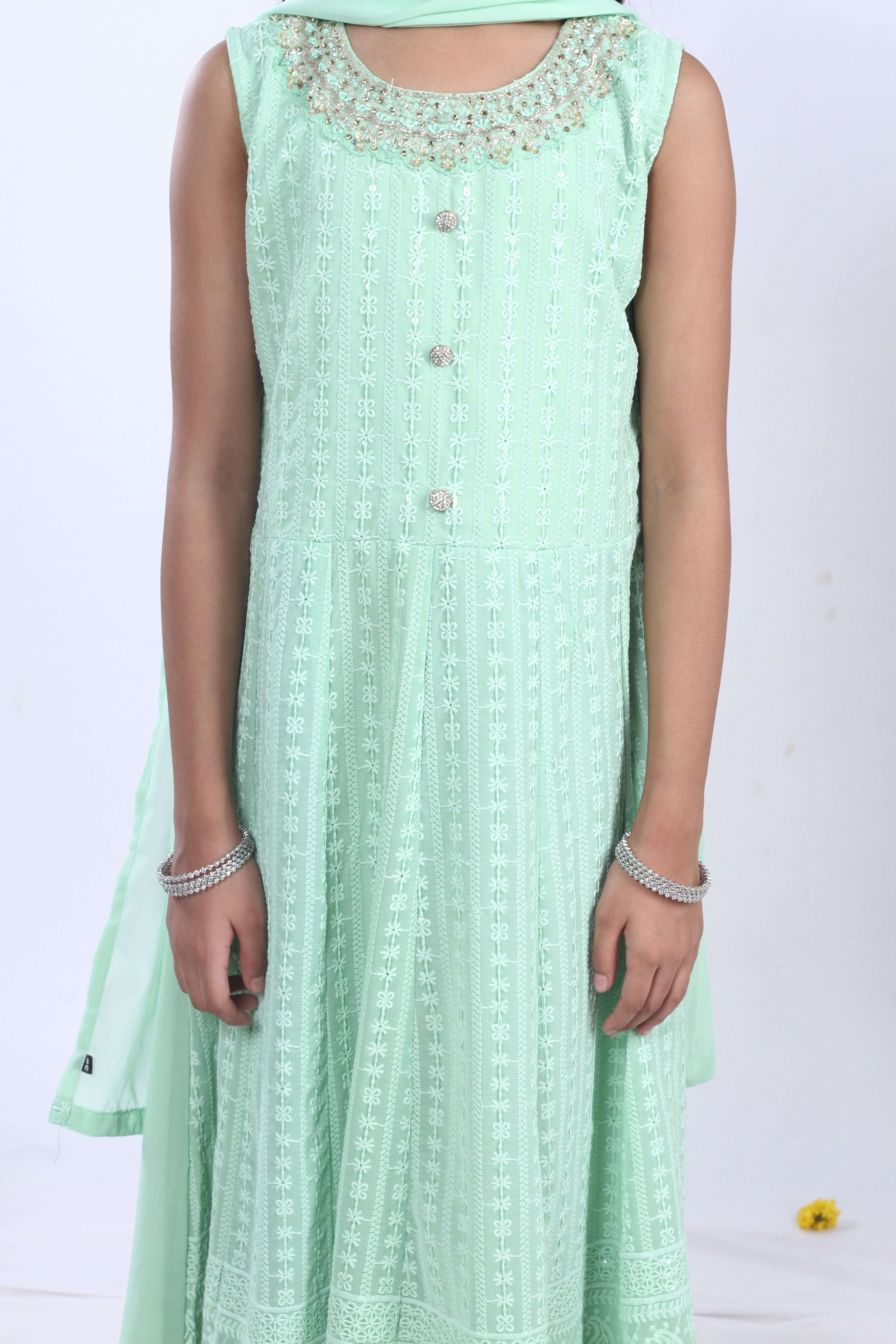 Georgette Gown Set in Handwork and Chikan Embroidery with Dupatta